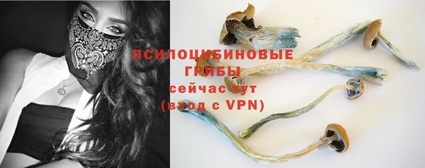 Альфа ПВП Беломорск