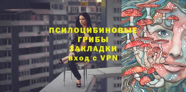 ГАЛЛЮЦИНОГЕННЫЕ ГРИБЫ Белоозёрский