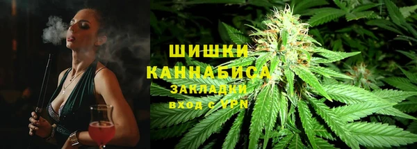 ГАЛЛЮЦИНОГЕННЫЕ ГРИБЫ Белоозёрский