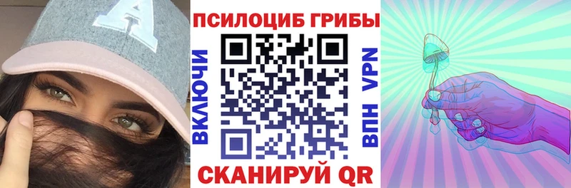 где купить наркоту Бородино Псилоцибиновые грибы MAGIC MUSHROOMS